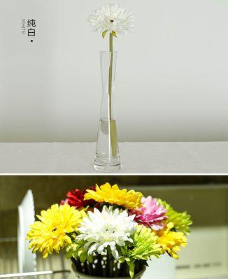 以扶郎的花语（探寻以扶郎的花语的奥秘）