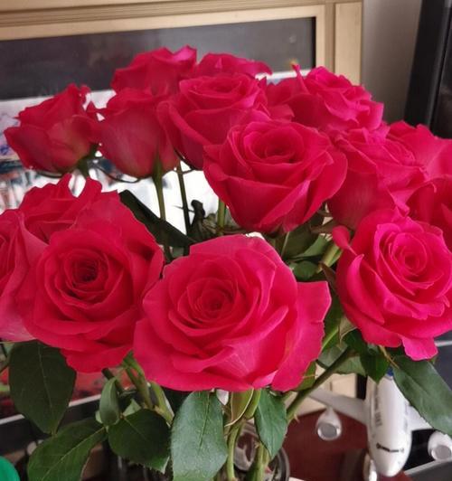 玫瑰花的多重象征意义（探索玫瑰花的各种意义与传统）