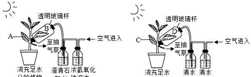 绿地球的浇水方法（使用科技让浇水更环保）