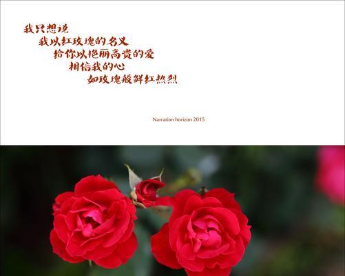 玫瑰花语之美（探索不同玫瑰花语的深层含义与传达方式）