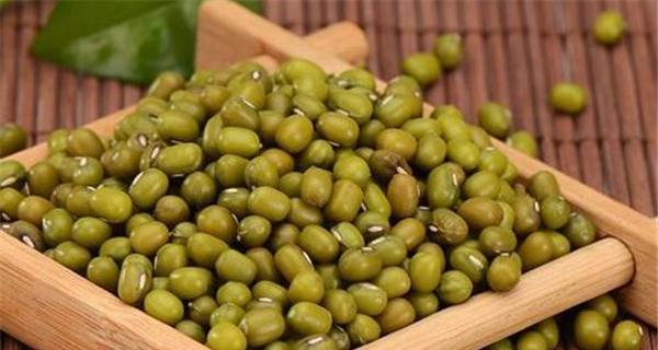 绿豆的搭配禁忌（15个相克食物及其影响）
