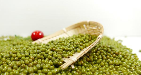 绿豆——单子叶植物的代表（探究绿豆的生命之谜）