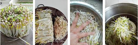 绿豆芽的正确清洗方法（洗净绿豆芽）