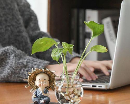 选择合适盆器，让绿萝茁壮成长（大盆还是小盆）