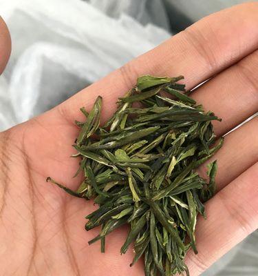 绿杨春——一款清新怡人的绿茶（了解绿杨春）