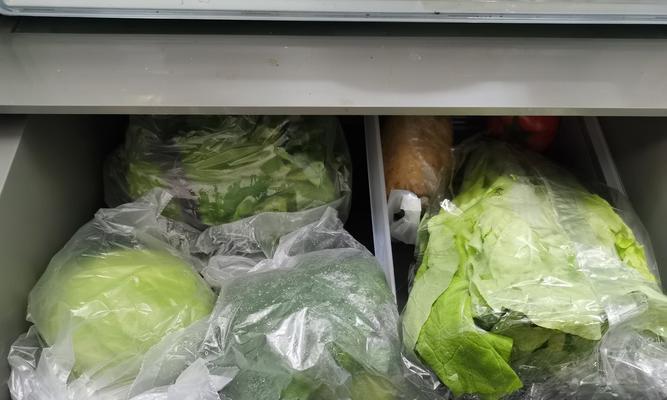 绿叶菜冰箱储存指南（冷藏还是冷冻）