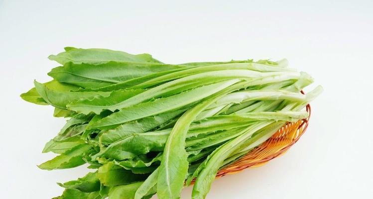 绿叶菜冰箱储存指南（冷藏还是冷冻）