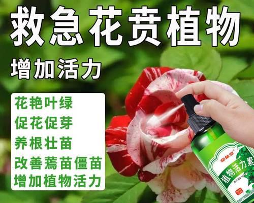 如何选择最适合绿植的肥料？
