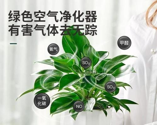 绿钻养殖全攻略（掌握养殖技巧）