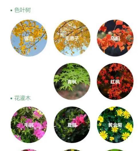 绿钻浇水指南（春夏秋冬各不同）
