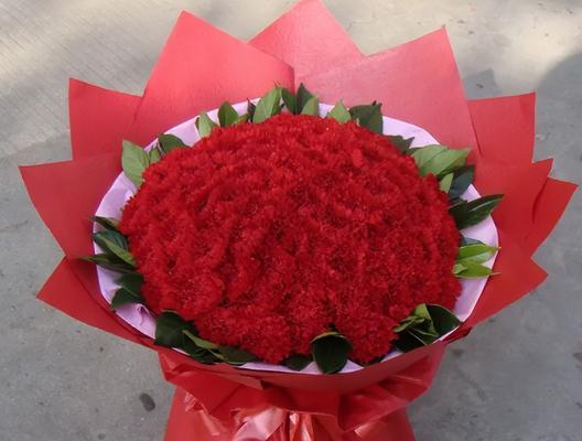 康乃馨花的丰富色彩与深远寓意（用色彩解读康乃馨花语）