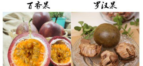 罗汉果核（探究罗汉果核的营养价值）