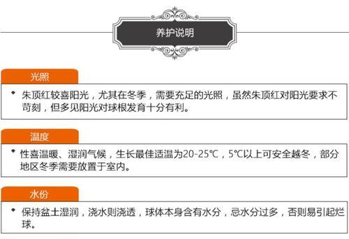罗汉松如何正确浇水（浇水时间）