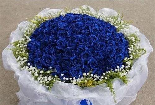 蓝色妖姬（探秘蓝色妖姬的含义及其与鲜花之间的联系）