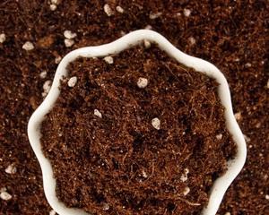 罗琦配土方法与种植土壤（提高土壤肥力）