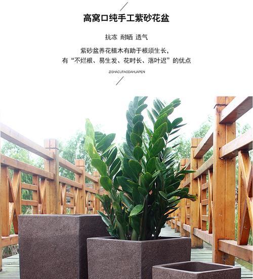 马槽盆花园的选择与种植（打造特色花园）