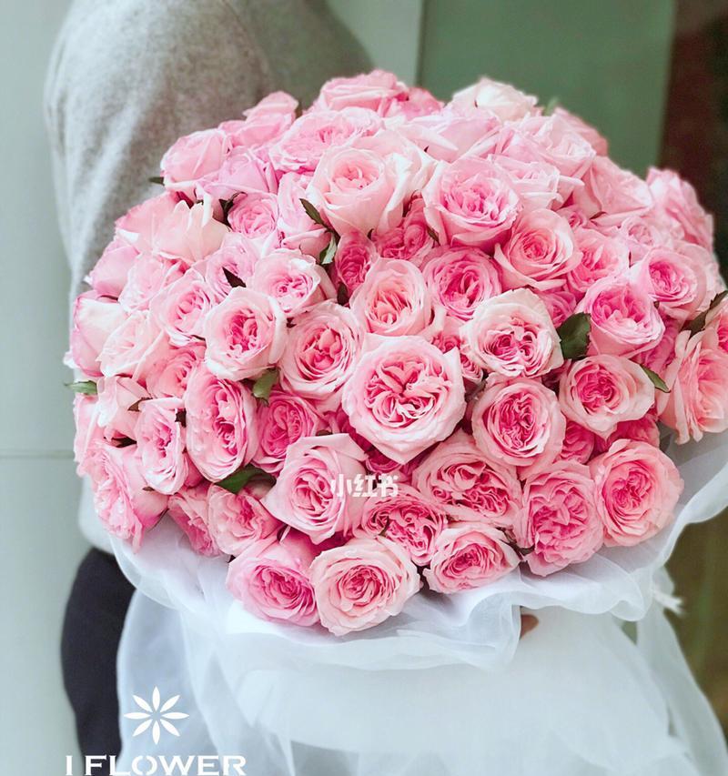 玫瑰花的朵数（探索玫瑰花朵数的深层意义）