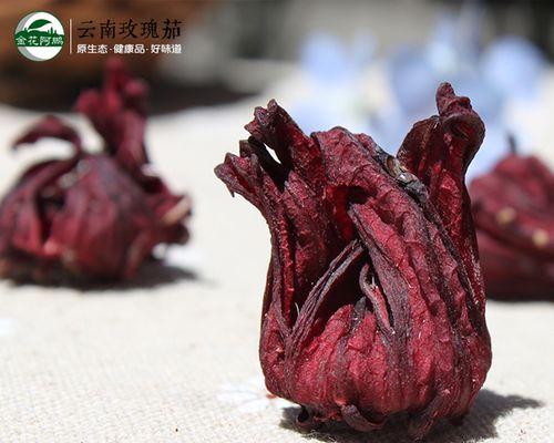 玫瑰茄的传说与花语（揭秘玫瑰茄的神奇力量）