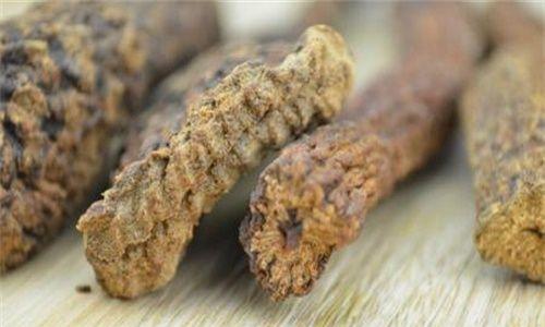 肉苁蓉与草苁蓉有何区别（这两种苁蓉的差异点大揭秘）
