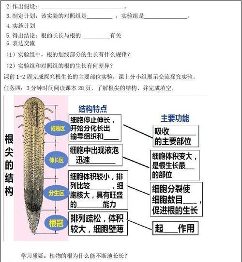 如何让仙人掌快速生根（掌握以下关键点）