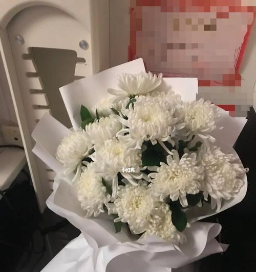 白菊花语-淡泊明志的坚守（白菊花语传递的生命哲学和人生态度）