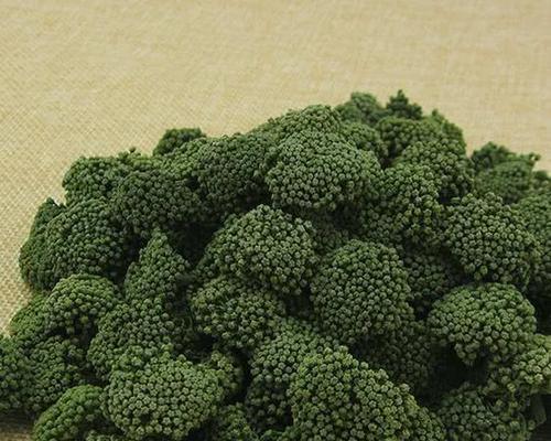 三七收获季节何时最佳（揭秘三七收获的最佳时间）