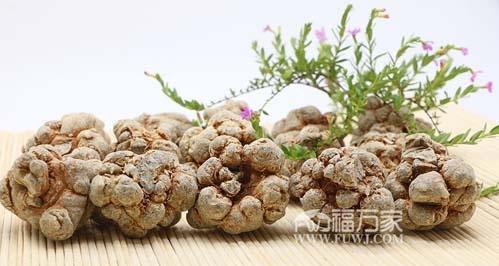 三七收获季节何时最佳（揭秘三七收获的最佳时间）