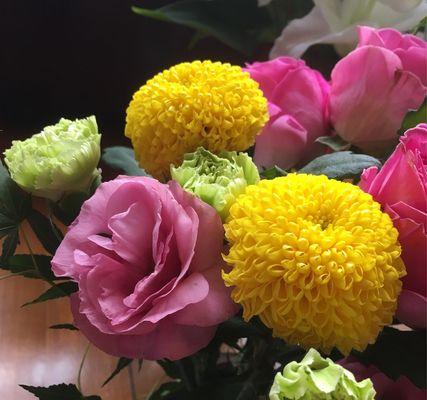 乒乓菊的花语与魅力（深入了解乒乓菊的花语）