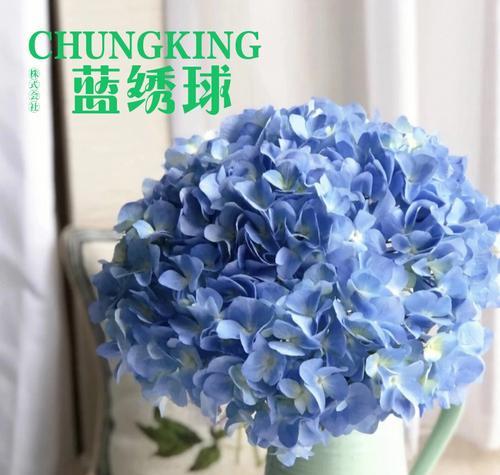 绣球花的花语与传说（以花开花落）