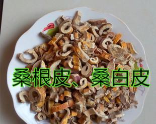 桑树皮和桑白皮的区别与功效（了解桑树皮和桑白皮）