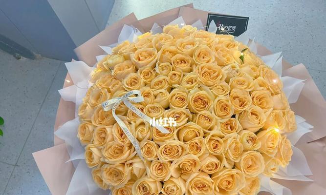 香槟玫瑰花语19朵——浪漫爱意绽放（探索香槟玫瑰的花语和象征）