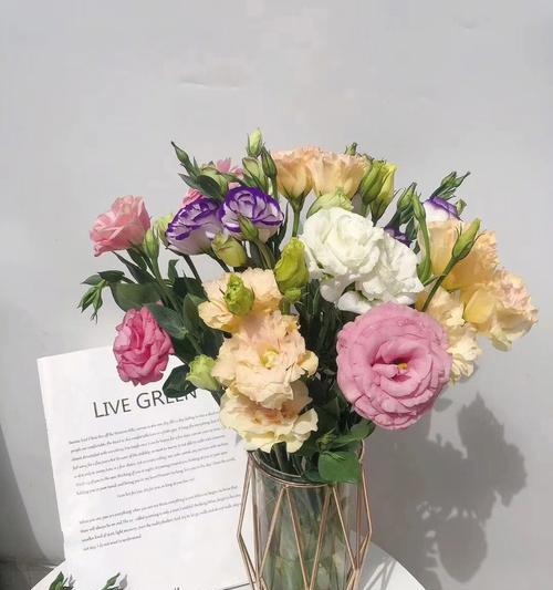 香槟洋桔梗的花语及象征意义（探寻香槟洋桔梗花语的深层内涵）