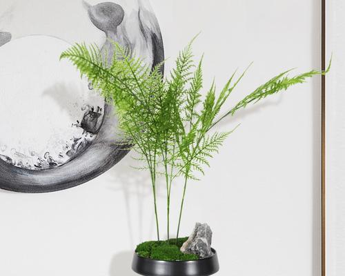 禅意植物（象征禅意的植物及其意义与特点）