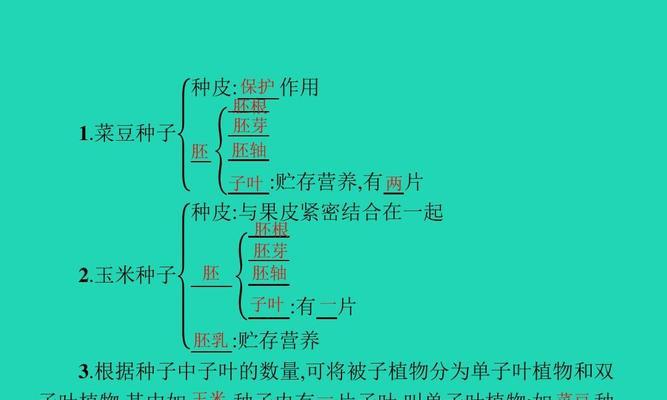 沙糖桔有籽的原因及区别详解（解开沙糖桔籽的谜团）
