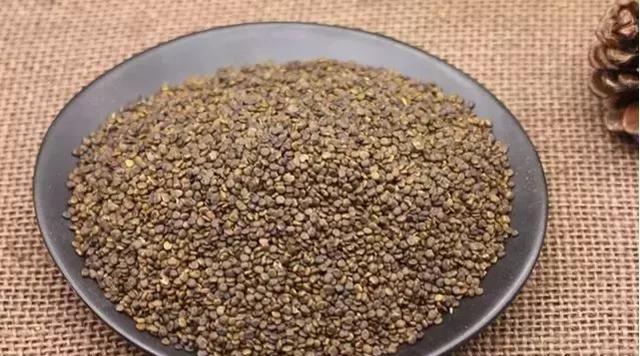 探究沙苑子种植技术及亩产量（提高沙苑子亩产量的方法与技巧）