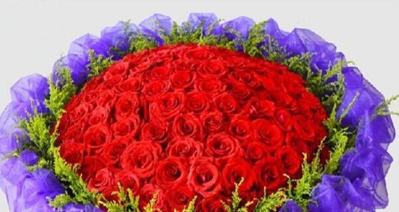 郁金香花语与寓意（郁金香的美丽与象征意义）