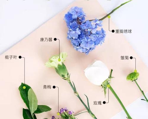 如何有效防治珊瑚豆落花（掌握关键方法）
