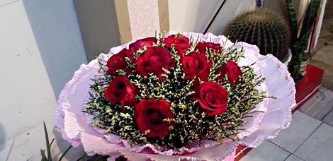 竹芋会开花吗（探寻竹芋的开花奥秘）