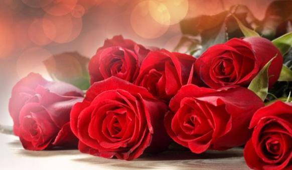 19朵玫瑰花语之意义与传承（深入解读19朵玫瑰的花语）