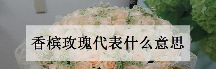 解读26朵玫瑰花语（传递爱意的不同语言——玫瑰花的花语解析）