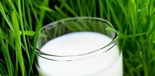 过期奶粉不要倒掉（生态环保）