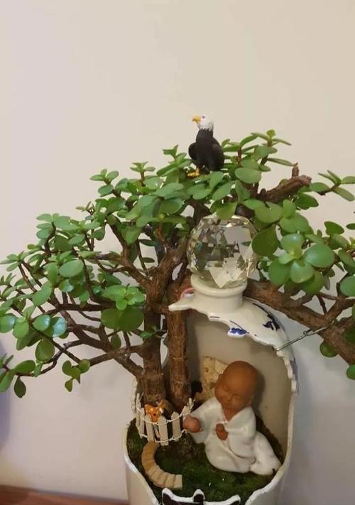 过期的葡萄酒能否用来浇花（解密葡萄酒浇花的神奇效果）