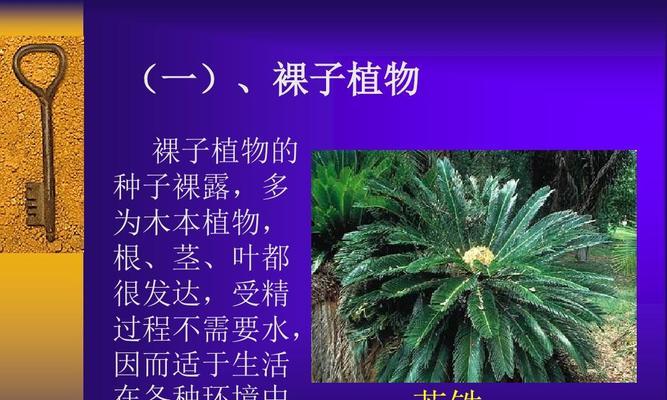 揭开海带的真实面貌（探究海带属于哪种植物类别）