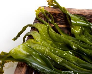 是不是裙带菜（营养丰富的海洋美食）