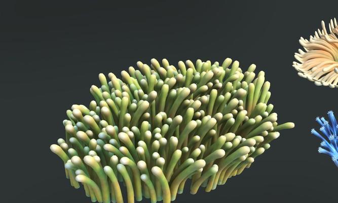 探索海底世界中的神秘植物（了解海底植物的多样性及其生态作用）