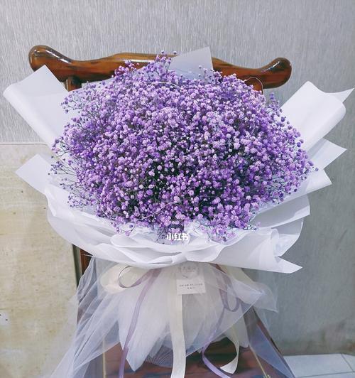 满天星（满天星的种类与花语）