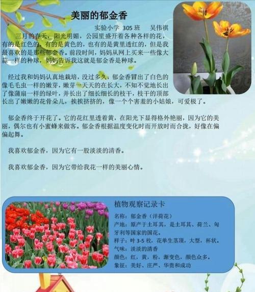 吉娃莲养殖指南（打造独具特色的花园小景）
