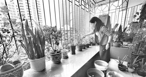 洗衣水可以浇菜吗（洗衣水是否对菜园有害）