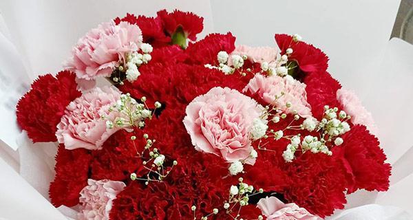 康乃馨花语（康乃馨花语解读及传达的美好情感）