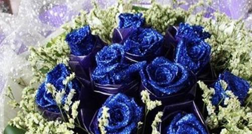 探寻蓝色妖姬花的浪漫花语（解读蓝色妖姬花语）
